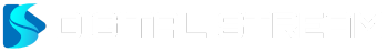 Digital Stream logo