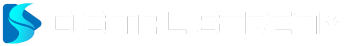 Digital Stream logo